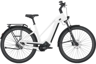 Pegasus Estremo Evo 9 Belt WA Basis bílá