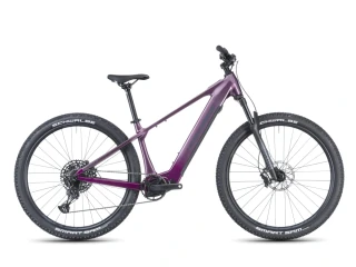 Crussis e-Fionna AX 9.12-M2S(800)