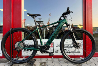 amulet 29 erival 5.0 racing green/black