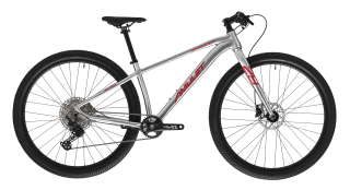 Amulet 29 youngster 1.11 sh alu brushed transparent/red